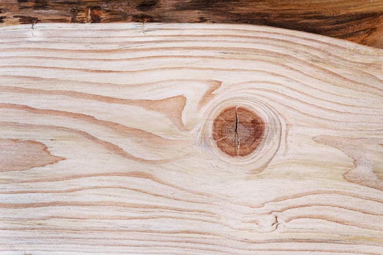 Douglasie Brett mit Maserung